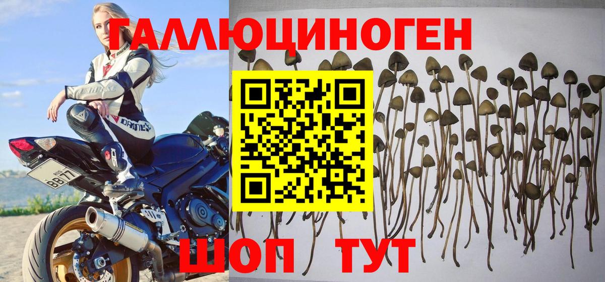 Псилоцибиновые грибы ЛСД Орехово-Зуево