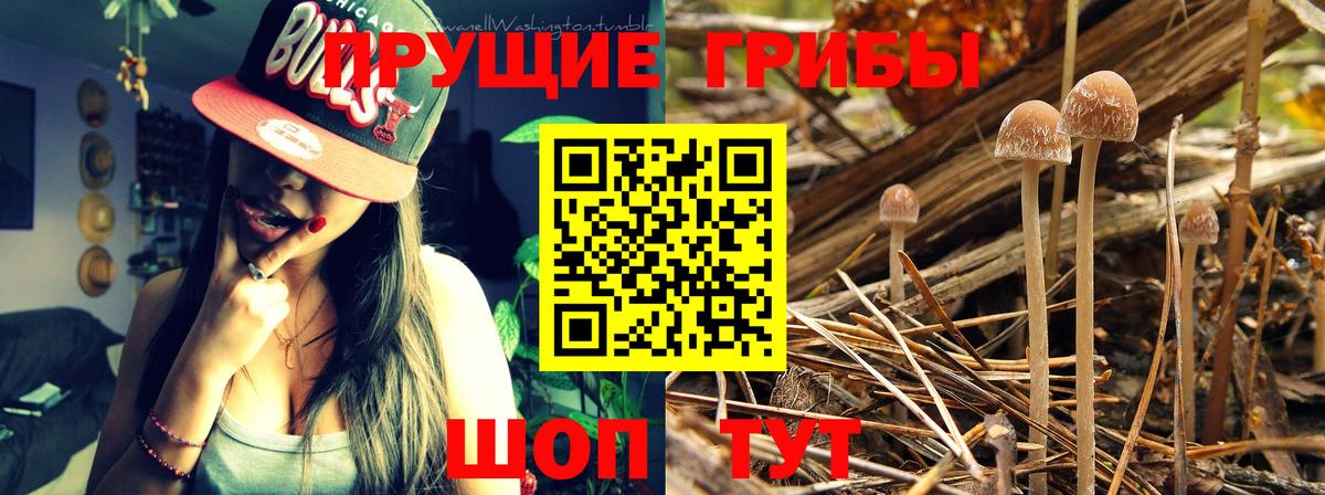 Галлюциногенные грибы Cubensis  Вход с VPN  Орехово-Зуево 