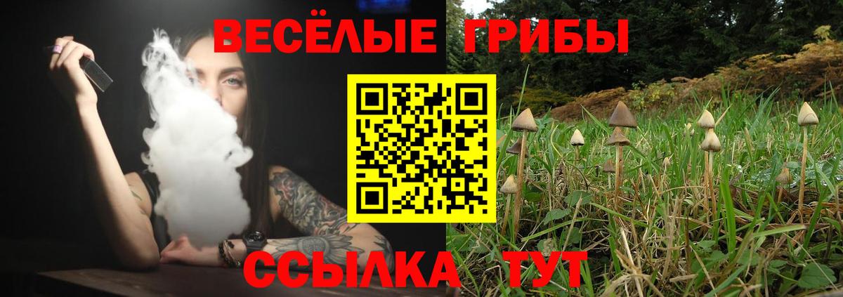 A-PVP СОЛЬ   Кокаин  Канабис  Вход с VPN  Орехово-Зуево  Магазин наркотиков  Меф  МЕФ   Экстази  ГАШ  ГАШИШ 